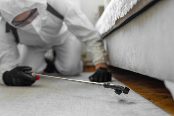 Professional Termite Control technician working in Lochbuie, CO